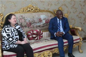 Read more about the article Israeli Ambassador calls on Defence Minister